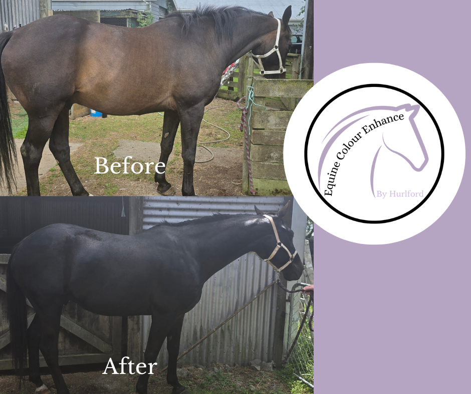 Hurlford Equine Colour Enhance- Brown Mane & Tail Kit