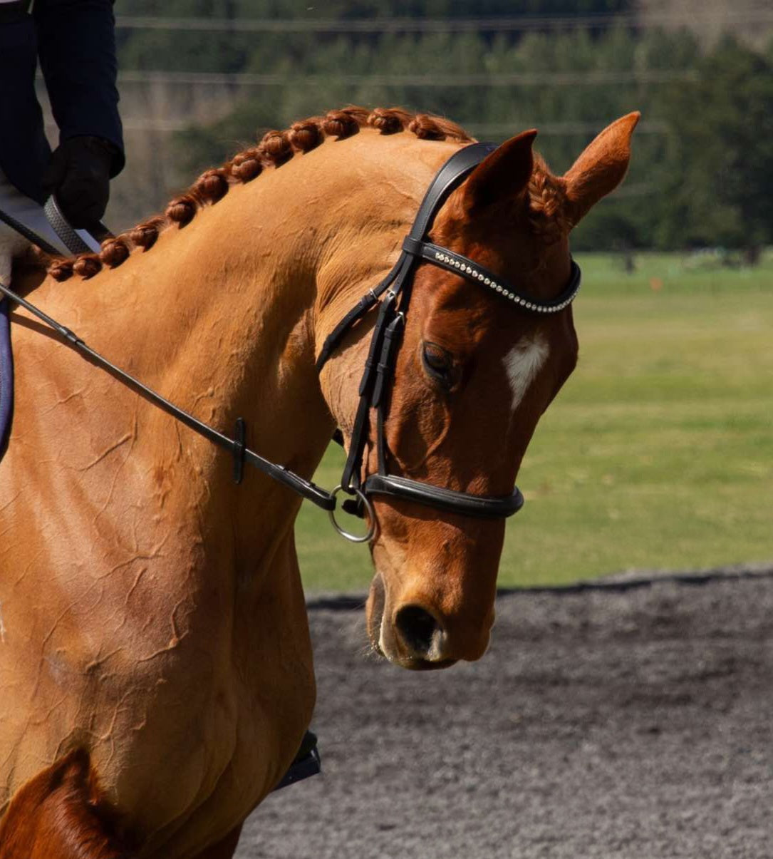 Monica Snaffle Bridle| Black Foxwood Equestrian | Showing Tack and Saddlery Store