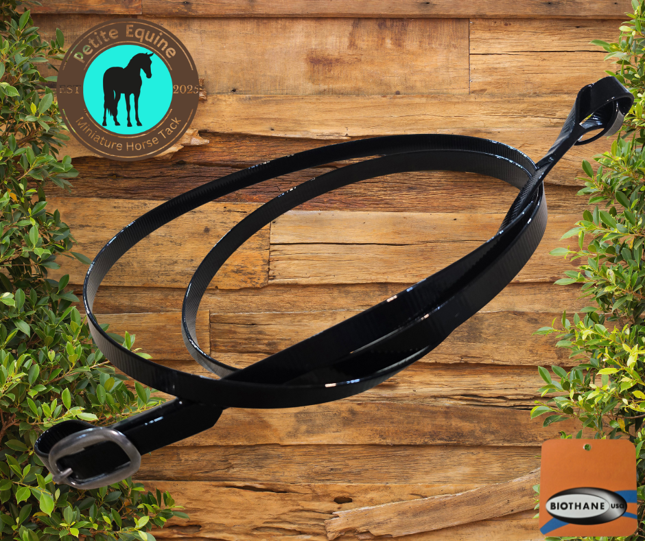 Petite Equine Show Lead- Short With Buckle End Petite Equine