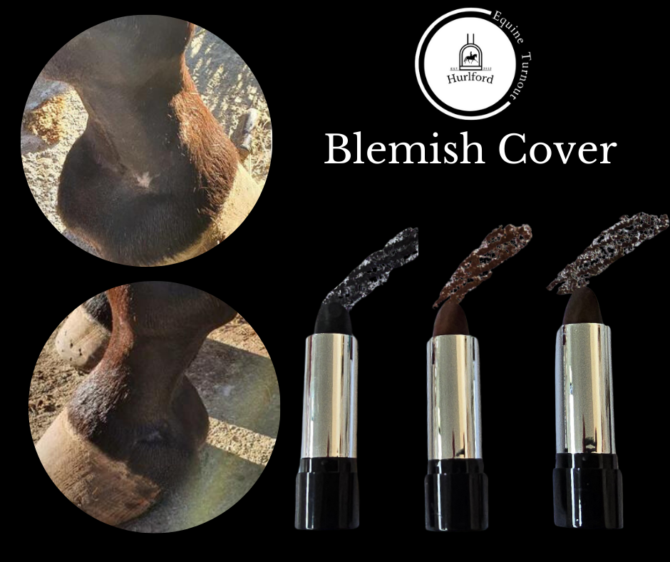 Hurlford Blemish Cover