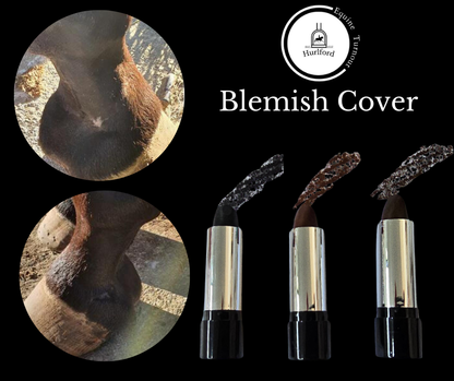 Hurlford Blemish Cover