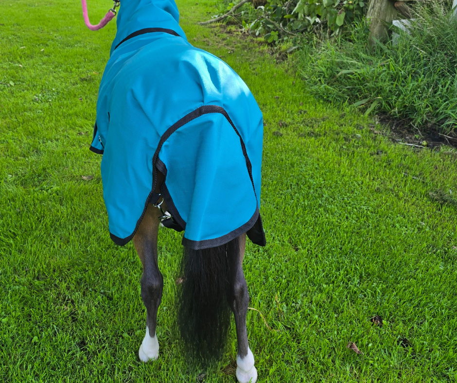 Stormbreaker Winter Rug 100gm Hurlford