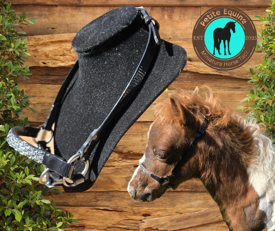 Junior Crown Show Halter Foxwood Equestrian - Showing Tack and Saddlery