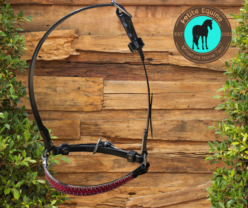 Junior Crown Show Halter Foxwood Equestrian - Showing Tack and Saddlery