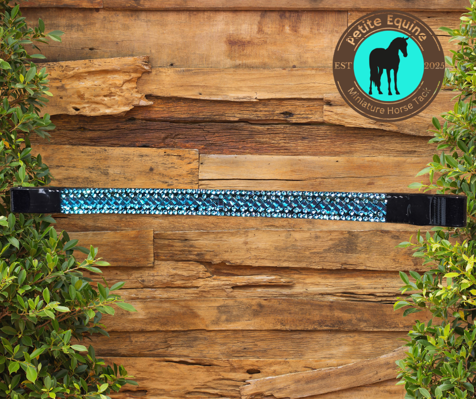 J Hook Noseband -Black On Black Teal Petite Equine