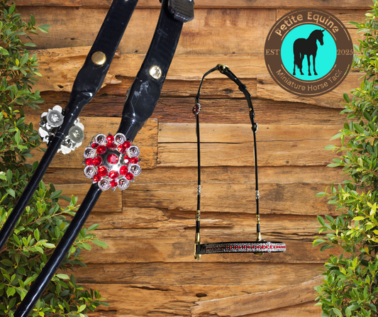 Bridle Conchos Petite Equine