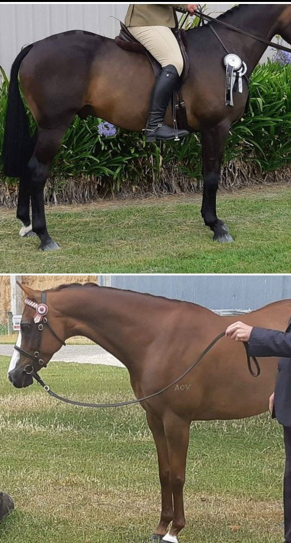 Hurlford Leg Enhance